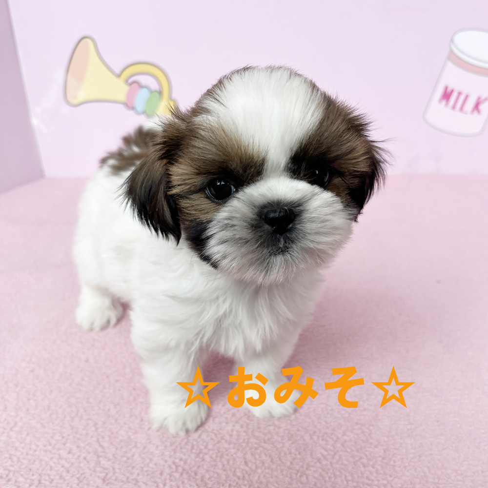 新しい仲間が増えました♪